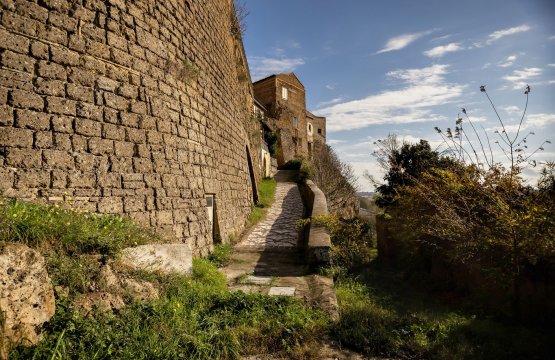Zu verkaufen Schloss Ruhiges Gebiet Magliano Sabina Lazio